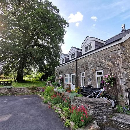 Swansea Valley Holiday Cottages Cilybebyll Ngoại thất bức ảnh