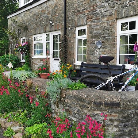 Swansea Valley Holiday Cottages Cilybebyll Ngoại thất bức ảnh