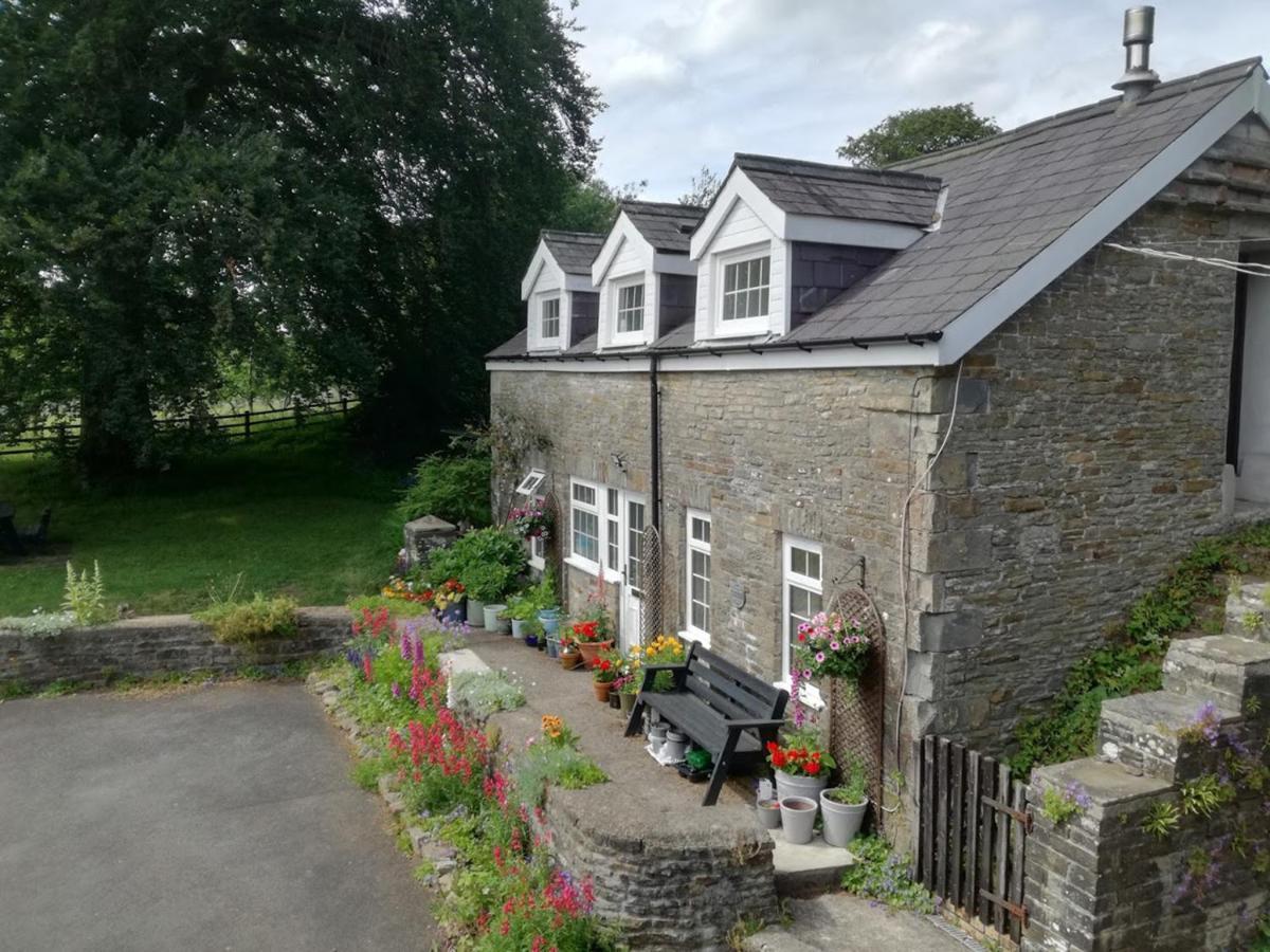 Swansea Valley Holiday Cottages Cilybebyll Ngoại thất bức ảnh