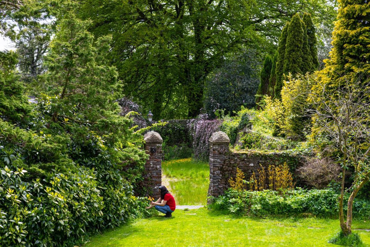 Swansea Valley Holiday Cottages Cilybebyll Ngoại thất bức ảnh