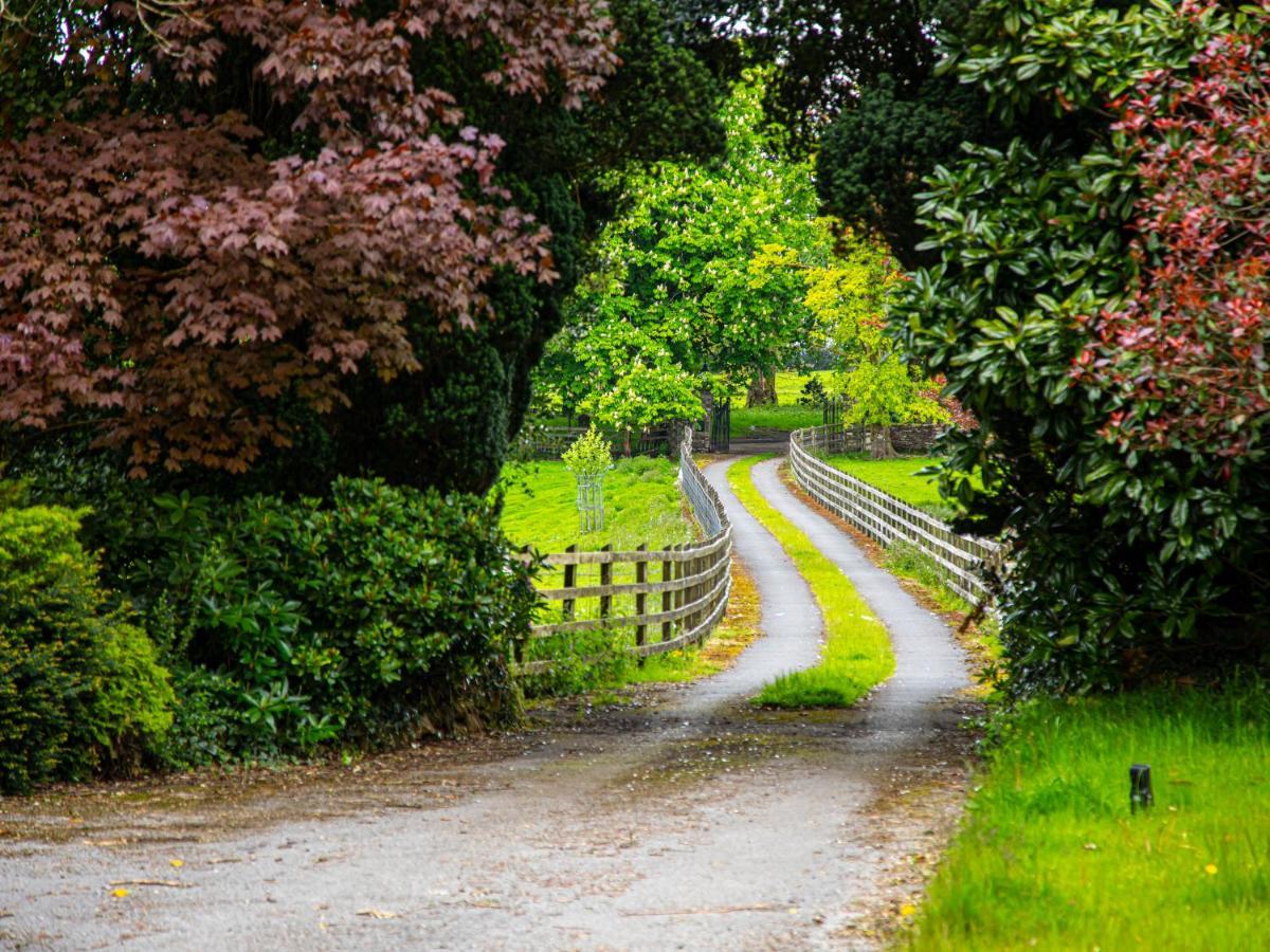 Swansea Valley Holiday Cottages Cilybebyll Ngoại thất bức ảnh