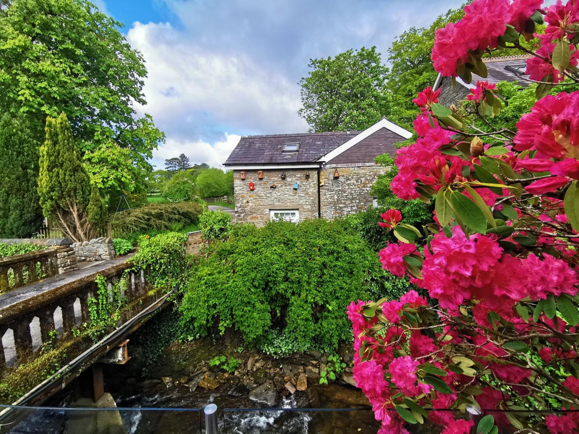 Swansea Valley Holiday Cottages Cilybebyll Ngoại thất bức ảnh