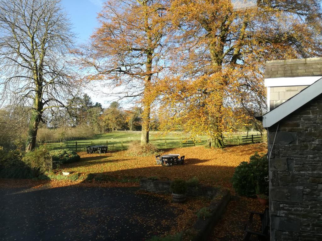 Swansea Valley Holiday Cottages Cilybebyll Ngoại thất bức ảnh
